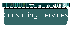 Consulting Services