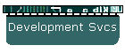 Development Svcs