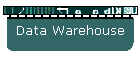 Data Warehouse