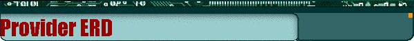 Provider ERD