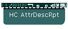 HC AttrDescRpt